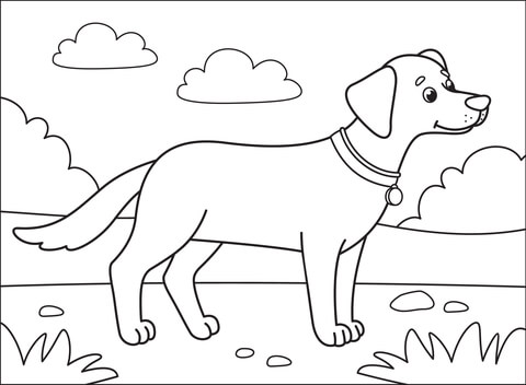 Black Lab Coloring Page